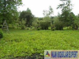 teren-intravilan-2700-mp-nucsoara-arges-9