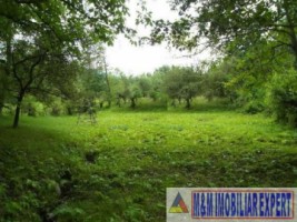 teren-intravilan-2700-mp-nucsoara-arges-7
