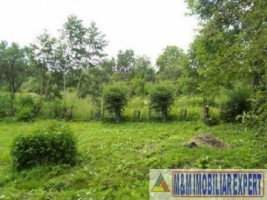 teren-intravilan-2700-mp-nucsoara-arges-10
