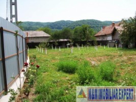 teren-intravilan-1600-mp-de-vanzare-schitu-golesti-arges-ideal-pentru-constructii-rezidentiale-sau-cabana-de-vacanta-4