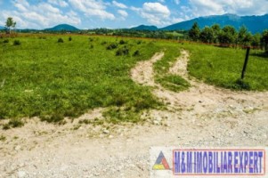 teren-4500-mp-intravilan-de-vanzare-in-bran-brasov-ideal-pentru-constructii-rezidentiale-sau-turistice-4