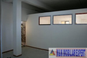 hala-de-800-mp-si-teren-de-2500-mp-de-inchiriat-in-aninoasa-arges-7