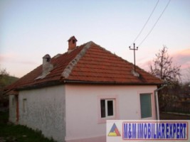 casa-5-camere-cu-teren-de-1800-mp-de-vanzare-in-poienarii-de-muscel-arges-spatiu-generos-si-priveliste-deosebita-10