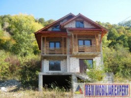 vila-9-camere-cu-teren-5000-mp-de-vanzare-in-apa-sarata-campulung-muscel-arges-1