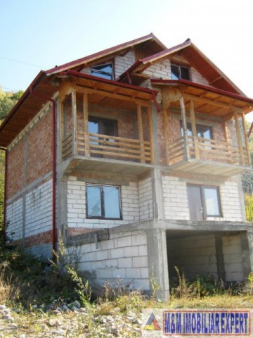vila-9-camere-cu-teren-5000-mp-de-vanzare-in-apa-sarata-campulung-muscel-arges-2