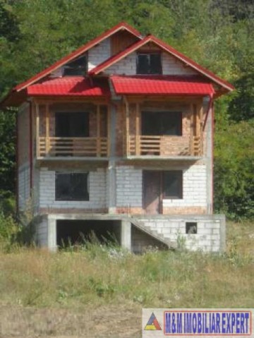 vila-9-camere-cu-teren-5000-mp-de-vanzare-in-apa-sarata-campulung-muscel-arges-3