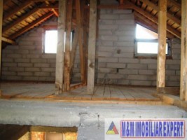 vila-9-camere-cu-teren-5000-mp-de-vanzare-in-apa-sarata-campulung-muscel-arges-9