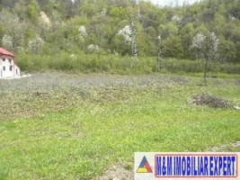 vila-9-camere-cu-teren-5000-mp-de-vanzare-in-apa-sarata-campulung-muscel-arges-25