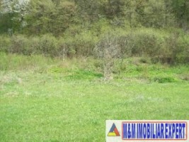 vila-9-camere-cu-teren-5000-mp-de-vanzare-in-apa-sarata-campulung-muscel-arges-26