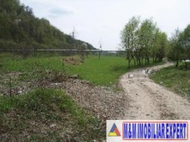 vila-9-camere-cu-teren-5000-mp-de-vanzare-in-apa-sarata-campulung-muscel-arges-27