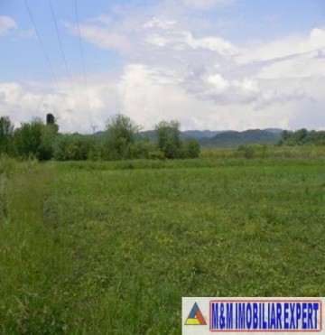 teren-intravilan-3400-mp-draghici-mihaesti-arges-ideal-pentru-constructii-1