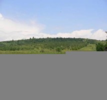 teren-intravilan-3400-mp-draghici-mihaesti-arges-ideal-pentru-constructii-2