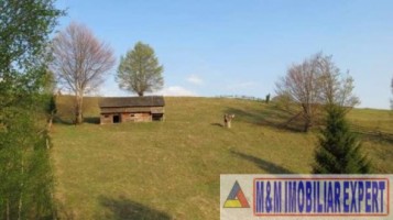 teren-1217-ha-extravilan-damdovicioara-arges-1