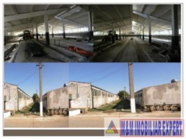 complex-economic-teren-496-ha-de-vanzare-in-constanta-ideal-pentru-dezvoltari-industriale-6