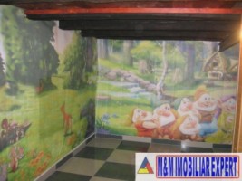 vila-7-camere-teren-300-mp-campulung-14