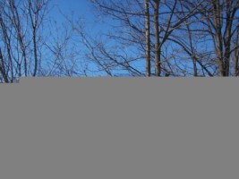 teren-435-mp-intravilan-bughea-de-sus-grui-arges-1