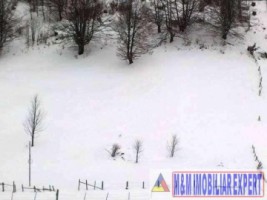 teren-2800-mp-intravilan-dambovicioara-ciocanu-arges-1