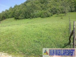 teren-2800-mp-intravilan-dambovicioara-ciocanu-arges-2