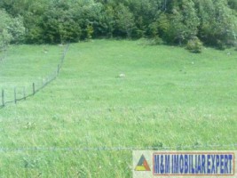 teren-2800-mp-intravilan-dambovicioara-ciocanu-arges-3