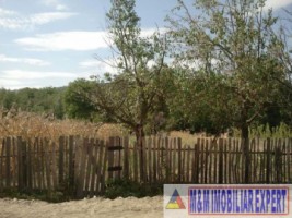 teren-988-mp-intravilan-de-vanzare-in-costesti-godeni-arges-potential-pentru-constructii-rezidentiale-1