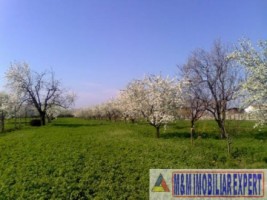 teren-de-vanzare-1000-mp-intravilan-in-stefanesti-zavoi-arges-ideal-pentru-constructii-rezidentiale-sau-comerciale-1