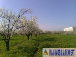 teren-de-vanzare-1000-mp-intravilan-in-stefanesti-zavoi-arges-ideal-pentru-constructii-rezidentiale-sau-comerciale-2