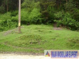 vand-teren-500-mp-fond-forestier-valea-poienii-baraj-mic-leresti-arges