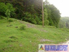 vand-teren-500-mp-fond-forestier-valea-poienii-baraj-mic-leresti-arges-1