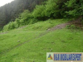vand-teren-500-mp-fond-forestier-valea-poienii-baraj-mic-leresti-arges-2