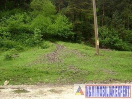 vand-teren-500-mp-fond-forestier-valea-poienii-baraj-mic-leresti-arges-3