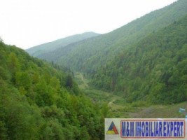 vand-teren-500-mp-fond-forestier-valea-poienii-baraj-mic-leresti-arges-4