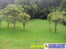 teren-3050-mp-extravilan-stoienesti-dragoslavele-10