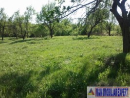 teren-2-ha-de-vanzare-intravilan-in-marcus-campulung-muscel-arges-ideal-pentru-investitii-imobiliare-sau-constructii-8
