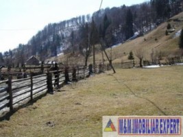 teren-intravilan-6100-mp-de-vanzare-rucar-arges