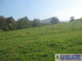 vand-teren-intravilan-1-ha-flamanda-campulung-muscel-arges-ideal-pentru-dezvoltare-rezidentiala-sau-comerciala-11