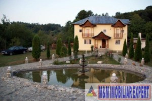 vila-pensiune-cu-9-camere-si-teren-de-2400-mp-de-vanzare-mihaesti-arges-investitire-in-turism