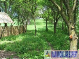 teren-1500-mp-intravilan-stoienesti-badeni-1