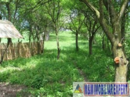 teren-1500-mp-intravilan-stoienesti-badeni-5