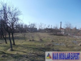 teren-intravilan-3933-mp-de-vanzare-in-babana-arges-ideal-pentru-constructii-rezidentiale-sau-agricole-5