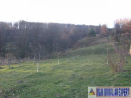 vila-4-camere-teren-2797-mp-bughea-de-jos-5