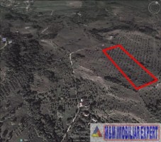 teren-extravilan-12-ha-c-targovistei-campulung-muscel-arges