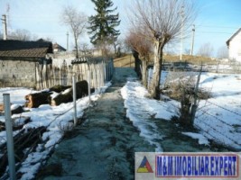 nr-invalid-vila-3-camere-teren-458-mp-matau-mioarele-13