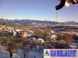 nr-invalid-vila-3-camere-teren-458-mp-matau-mioarele-14