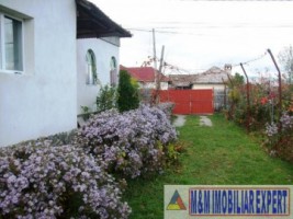 casa-2-camere-teren-2000-mp-campulung-2