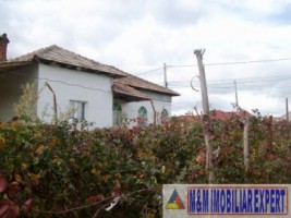 casa-2-camere-teren-2000-mp-campulung-3