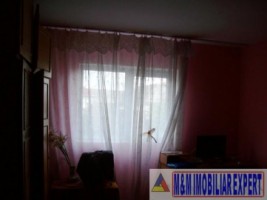 casa-2-camere-teren-2000-mp-campulung-10