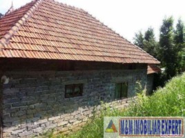 casa-5-camere-teren-1600-mp-cetateni-1
