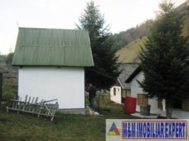 vandut-3