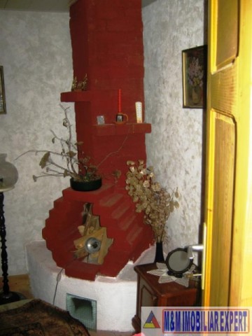 vandut-6