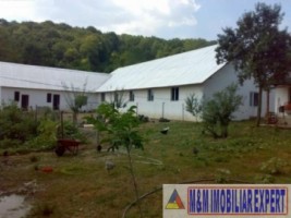 vila-cu-12-camere-si-ferma-pe-14-ha-mihaesti-arges-ideal-pentru-investitii-in-agroturism-2